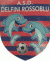 logo DELFINI ROSSO BLU