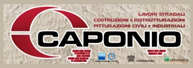 http://www.caponiopitture.it